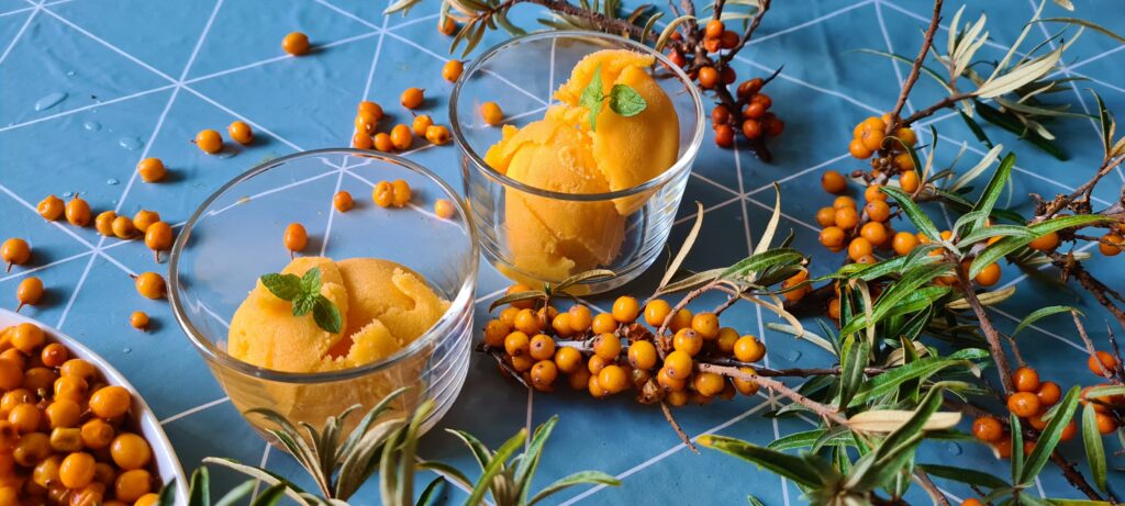 Sea Buckthorn Sorbet – Sweet Chamomilla